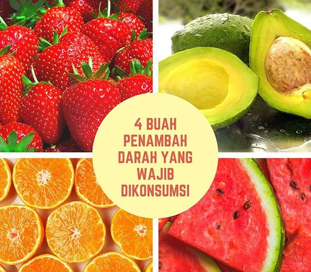 Buah Penambah Darah - Resep Herbal Sehat - Media Informasi Kesehatan